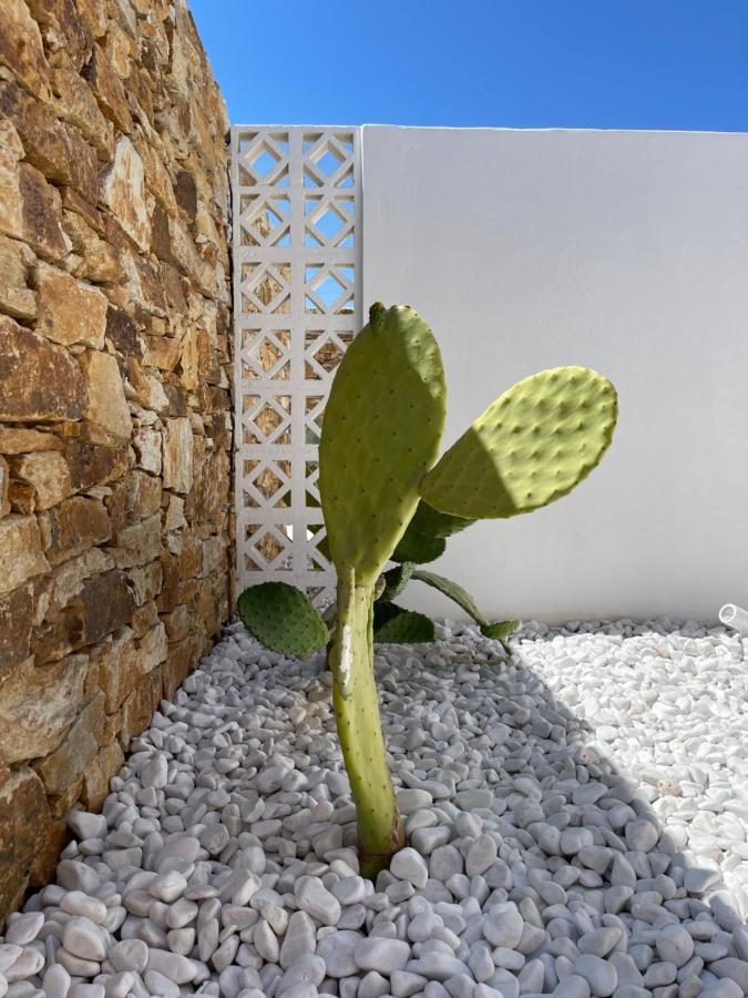Kastro Antiparos Aparthotel Exterior photo