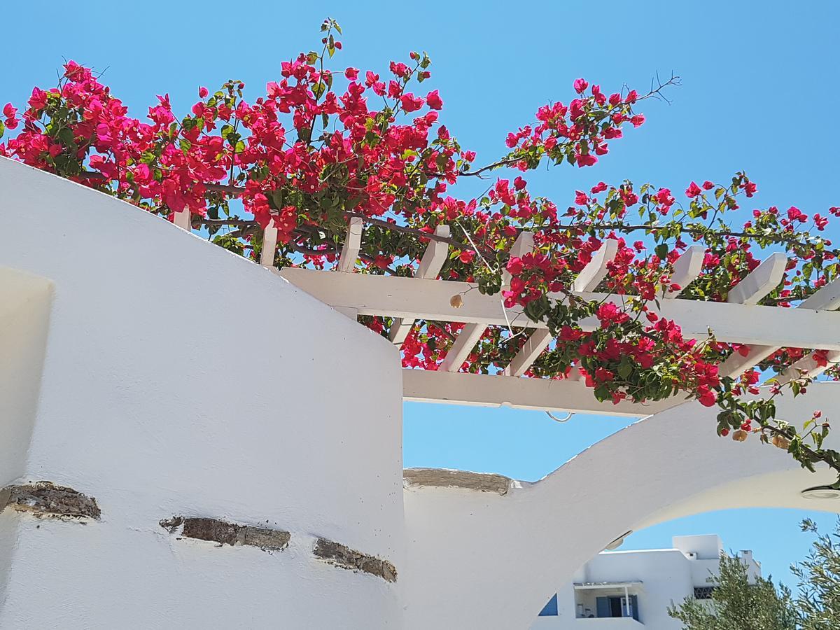 Kastro Antiparos Aparthotel Exterior photo